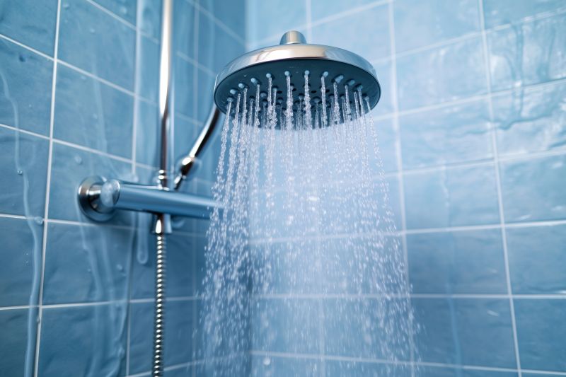 Luxury Rain Showerhead